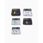 Pack 5 slips minecraft multicolore