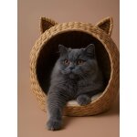 Panier pour chat en jacinthe d'eau beige Panier pour chat en jacinthe d'eau beige