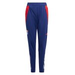 Pantalon de jogging gar�on olympique lyonnais bleu