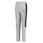 Pantalon de surv�tement evostripe sb gris