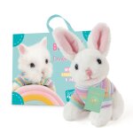 Peluche lapin bunbun avec valise, passeport et stickers mini lapin nain hollandais multicolor