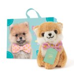 Peluche pompom le chien keeshond avec valise, passeport et stickers mini pom�ranien 8 cm multicolor