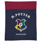 Plaid polaire imprim�, harry potter stripe bleu