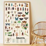 Poster géant 44 stickers insectes multi - coloured Poster géant 44 stickers insectes multi - coloured