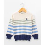 Pull 100% coton gar�on fond grege raye multicolore