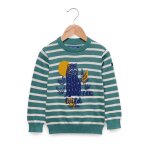 Pull gar�on fond grege raye vert