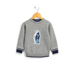 Pull gar�on gris chine
