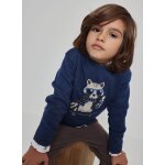Pull gar�on imprim� raton laveur skater bleu
