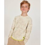 Pull gar�on en maille avec motif de palmiers beige