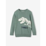 Pull ludique dinosaure garon vert sauge