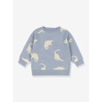 Pull motifs dinosaures konges slojd gris