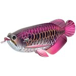 Puzzle 3d - poisson dragon pink Puzzle 3d - poisson dragon pink