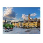 Puzzle grand'place de lille 1000 pcs blanc
