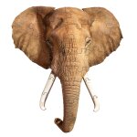 Puzzle i am - �l�phant multicolor
