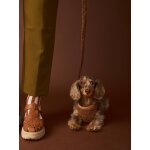 Set promenade pour chien : harnais + laisse + collier chocolat