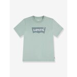 T - shirt batwing levi's vert