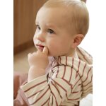 T - shirt  capuche bb tomette