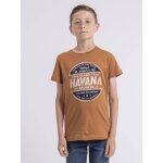 T - shirt col rond pur coton numatis gar�on camel