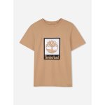 T - shirt gar�on col rond marron clair