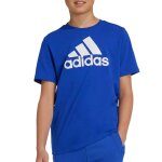 T - shirt gar�on we crew bleu