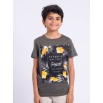 T - shirt manches courtes col rond pur coton noctavio garon kaki