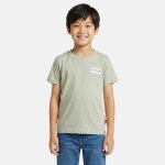 T - shirt manches courtes, col rond vert sauge