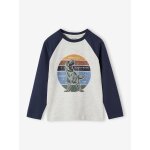T - shirt motif graphique garçon manches raglan blanc chiné T - shirt motif graphique garçon manches raglan blanc chiné