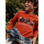 T - shirt motif wild en bouclettes garçon rouille T - shirt motif wild en bouclettes garçon rouille