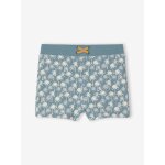 Shorty de bain garon lichen imprim