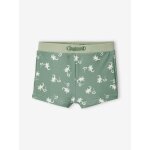 Shorty de bain gecko bb garon lichen