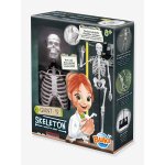 Squelette - multicolore