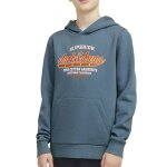 Sweat � capuche bleu