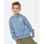 Sweat � capuche enfant icons of shred faded denim