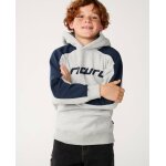 Sweat � capuche gar�on archive panel grey marle