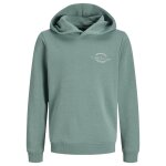 Sweat � capuche gar�on brandon bleu