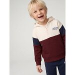 Sweat capuche gar�on colorblock bordeaux