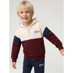 Sweat capuche gar�on colorblock bordeaux