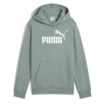Sweat � capuche gar�on ess2 color vert