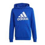 Sweat � capuche gar�on hoodie bleu