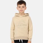 Sweat � capuche gar�on imprim� beige