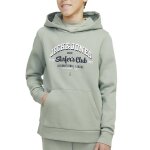 Sweat � capuche gar�on logo vert