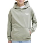 Sweat � capuche gar�on norrebro typo vert