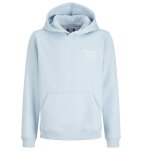 Sweat � capuche gar�on orrebro typo bleu