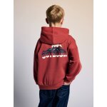 Sweat � capuche gar�on tomette