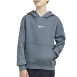 Sweat � capuche gar�on vesterbro bleu