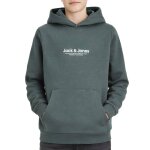 Sweat � capuche gar�on vesterbro bleu vert