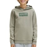 Sweat � capuche greene beige