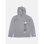 Sweat À capuche gris Sweat À capuche gris