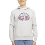 Sweat � capuche gris
