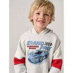 Sweat capuche imprim� gris chin�